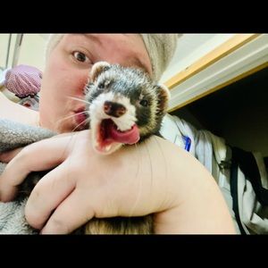 Meet your Posher, Laura